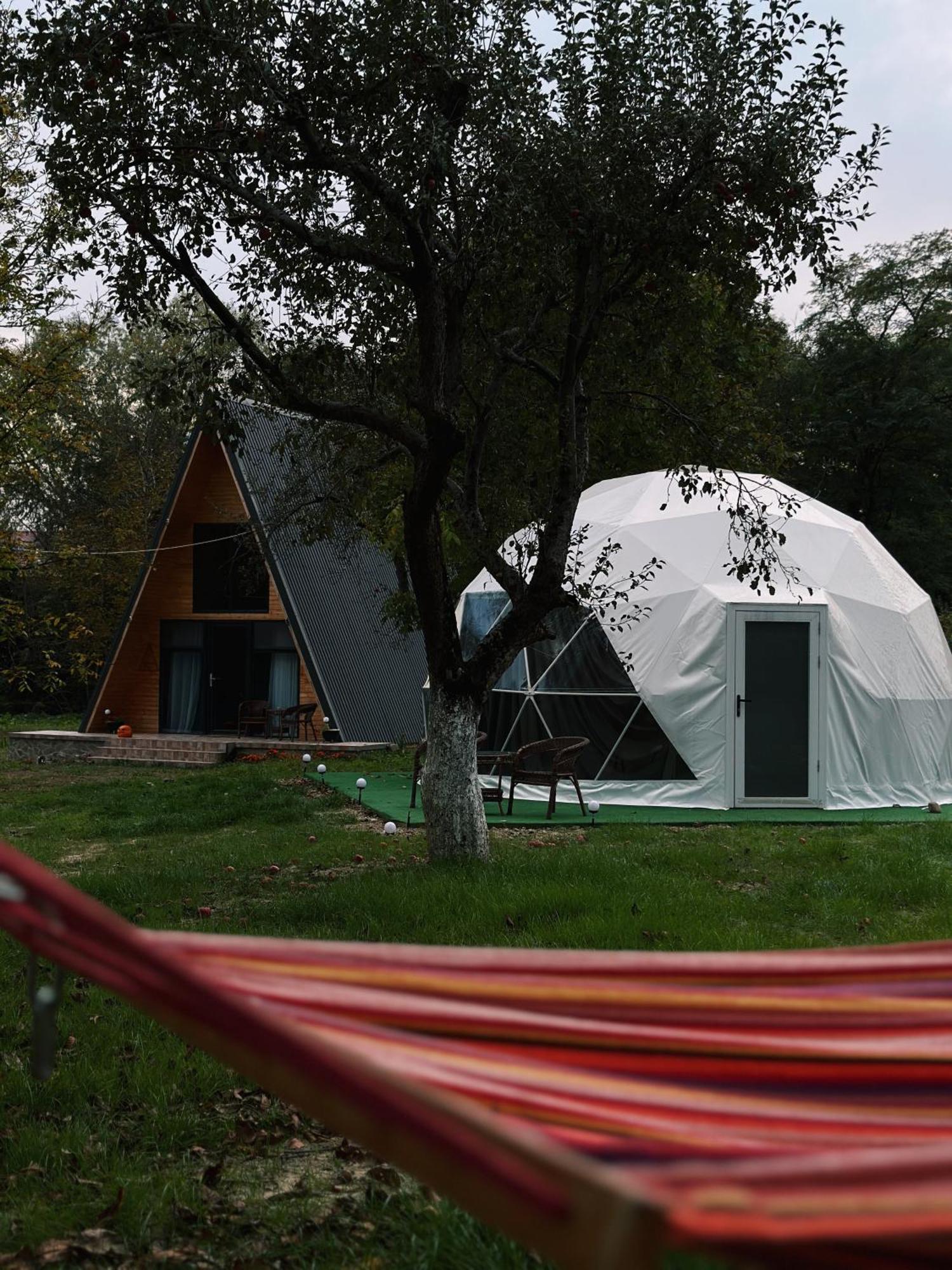 Hotel The Frog Glamping Horezu Zewnętrze zdjęcie
