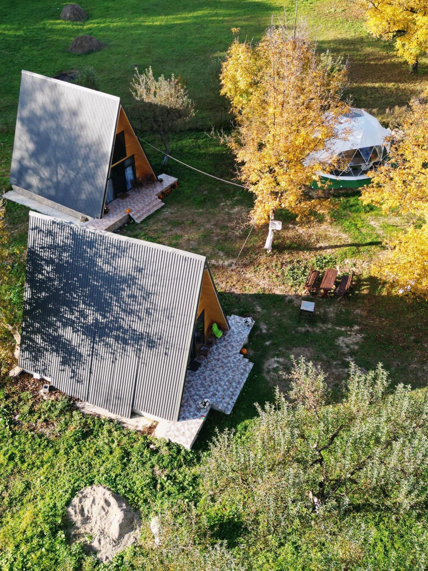 Hotel The Frog Glamping Horezu Zewnętrze zdjęcie