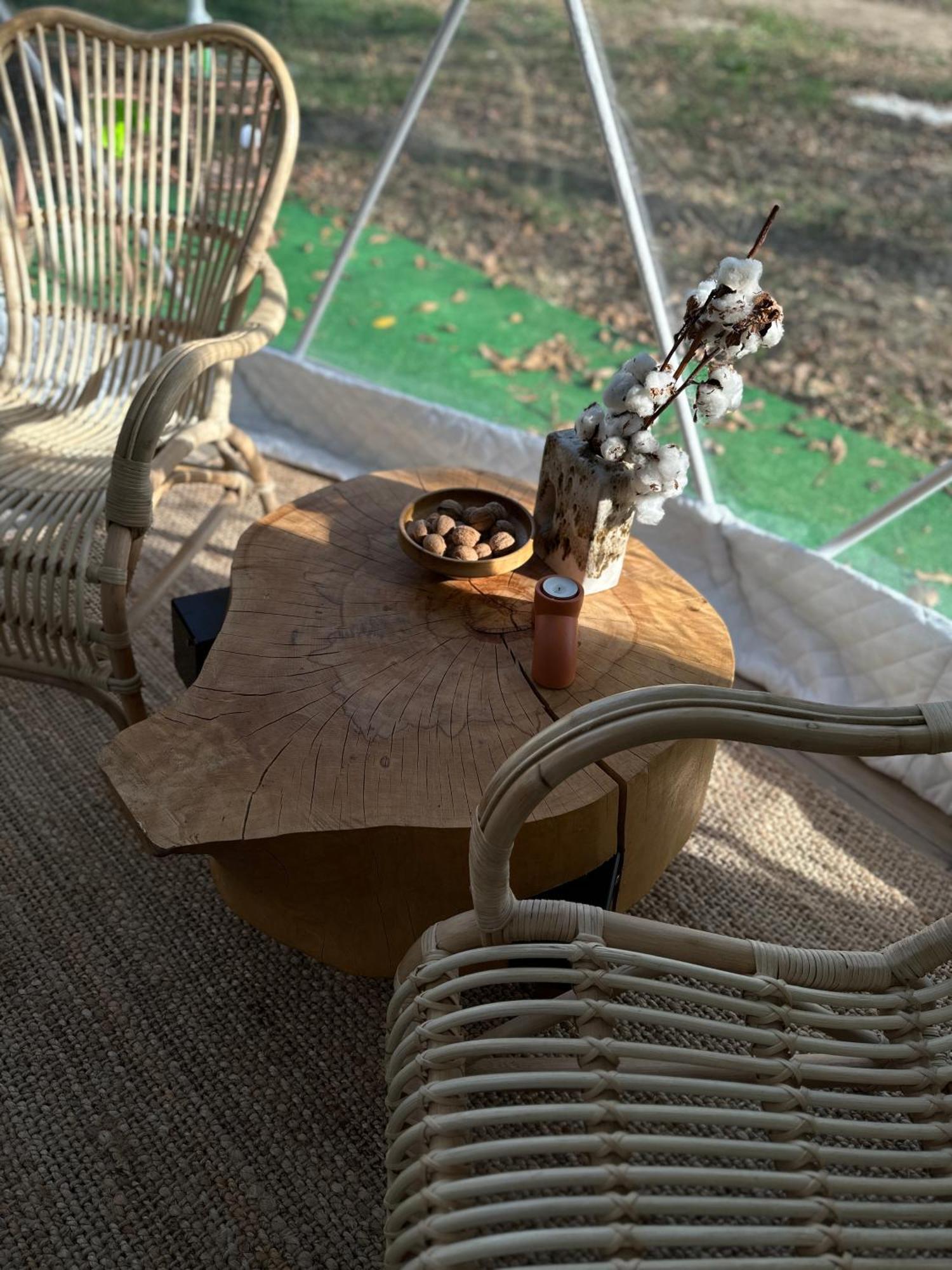 Hotel The Frog Glamping Horezu Zewnętrze zdjęcie