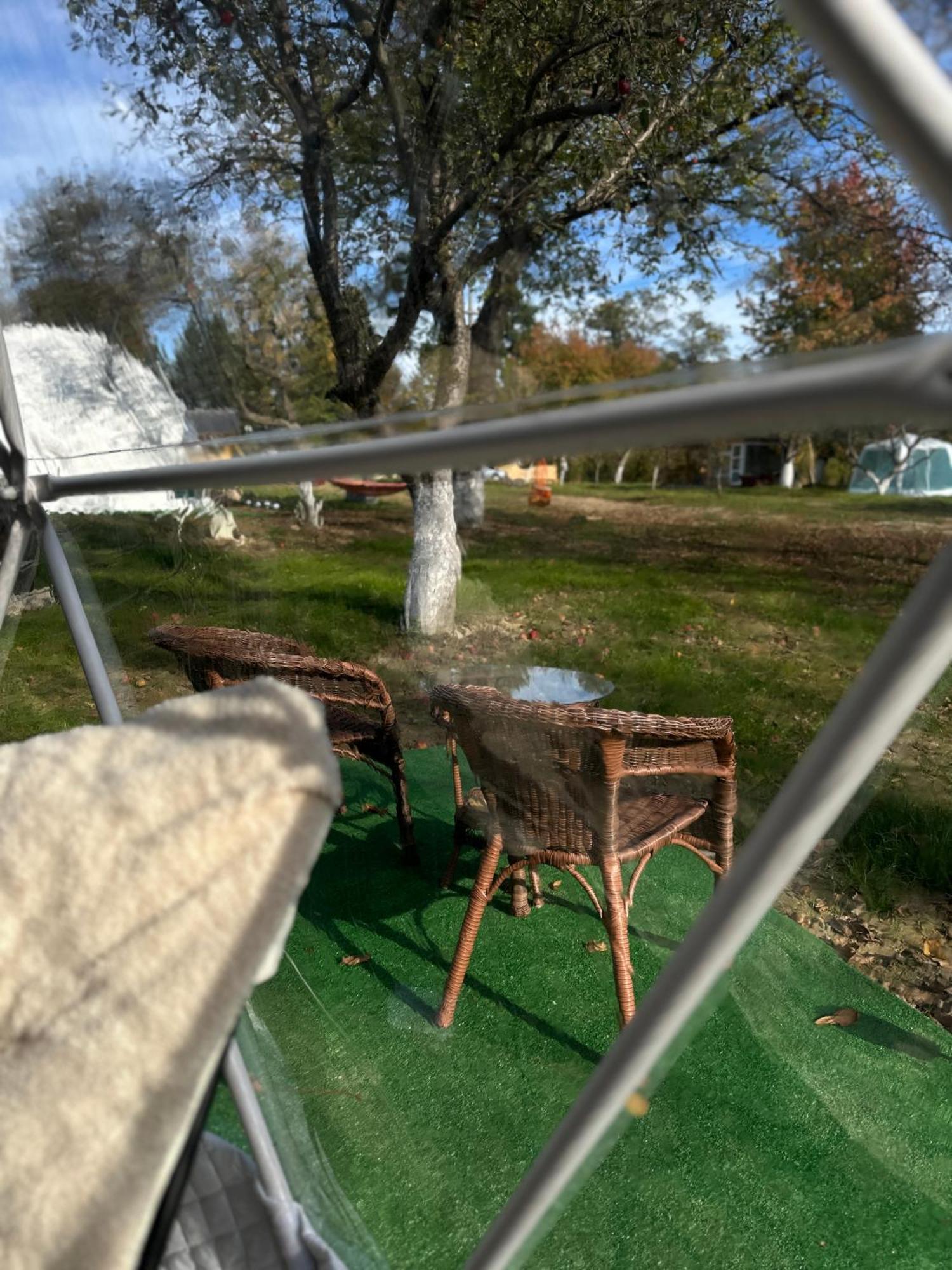 Hotel The Frog Glamping Horezu Zewnętrze zdjęcie