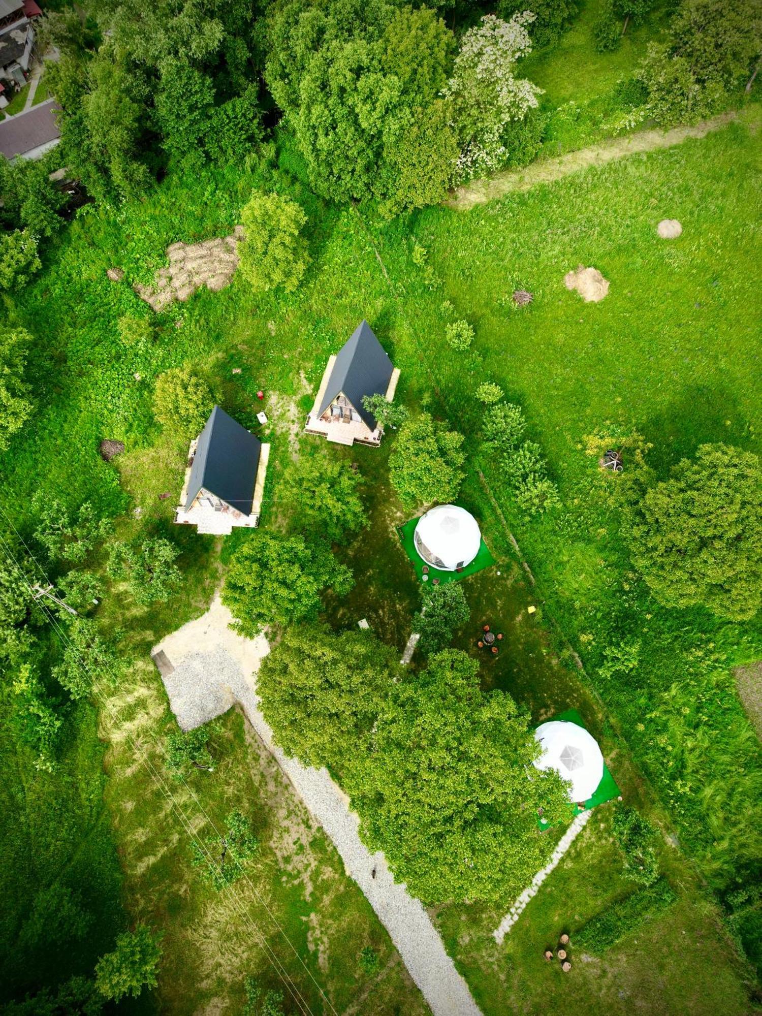 Hotel The Frog Glamping Horezu Zewnętrze zdjęcie