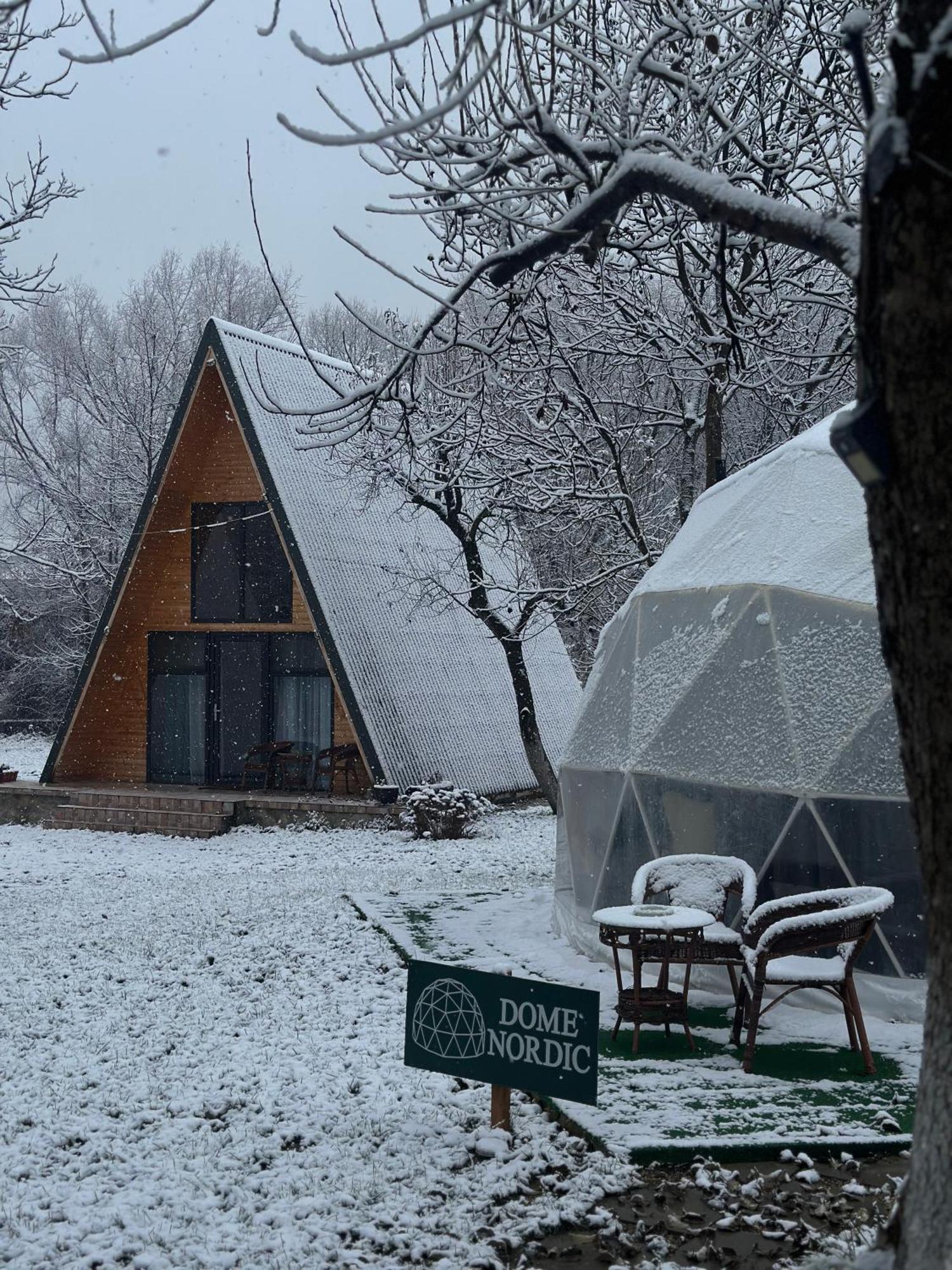 Hotel The Frog Glamping Horezu Zewnętrze zdjęcie