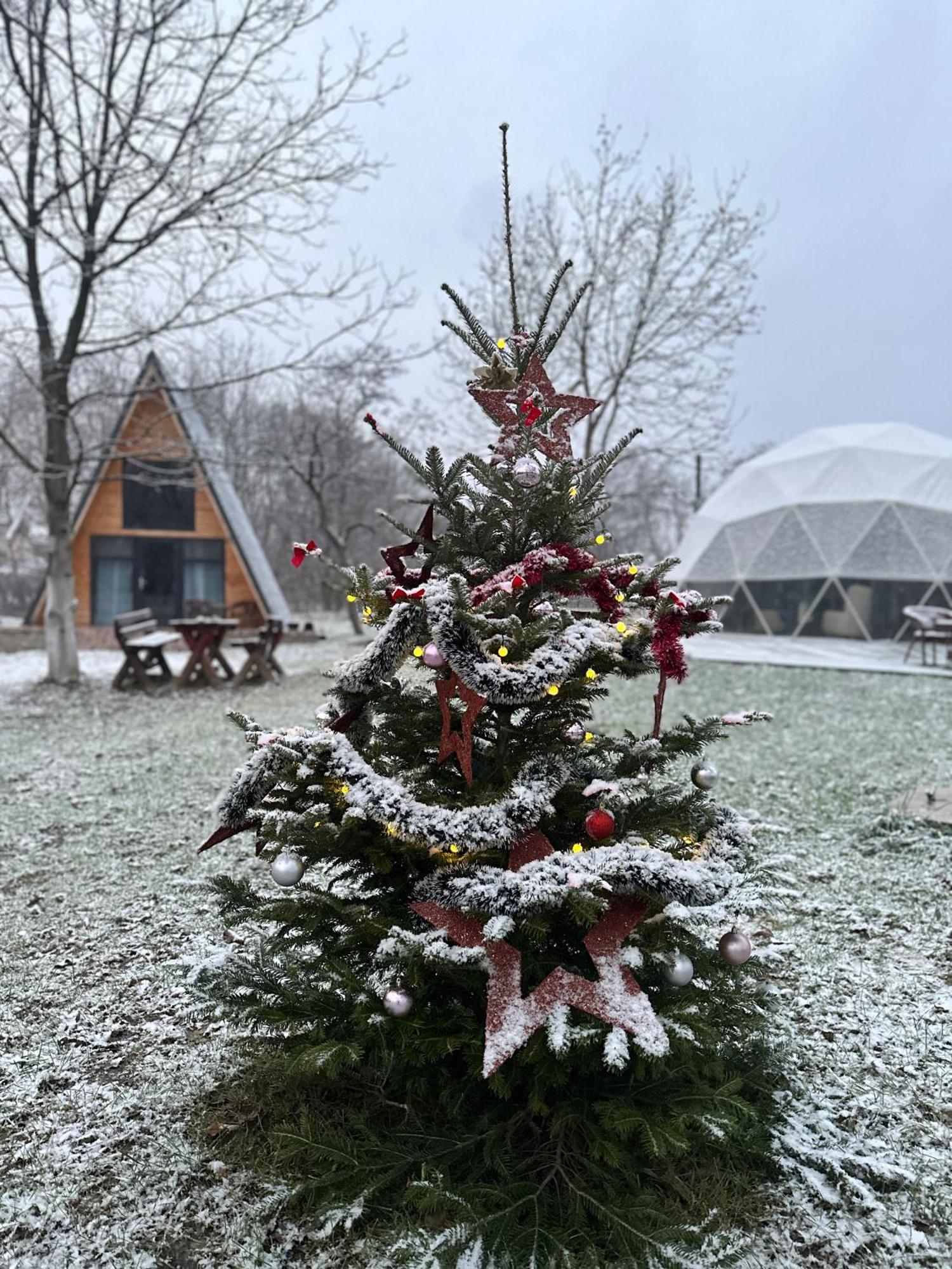 Hotel The Frog Glamping Horezu Zewnętrze zdjęcie