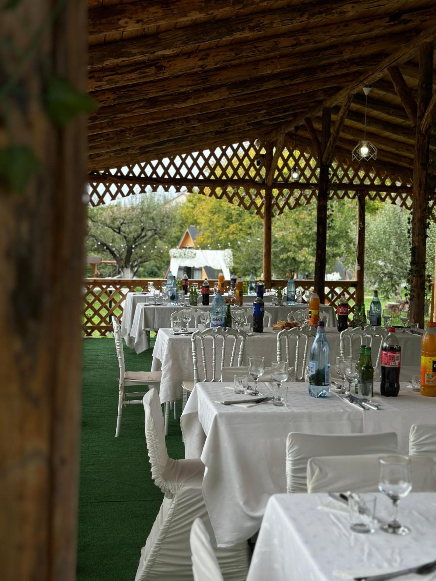 Hotel The Frog Glamping Horezu Zewnętrze zdjęcie